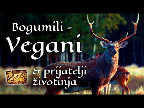 Bogumili – Vegani &amp; prijatelji životinja već u srednjem vijeku?